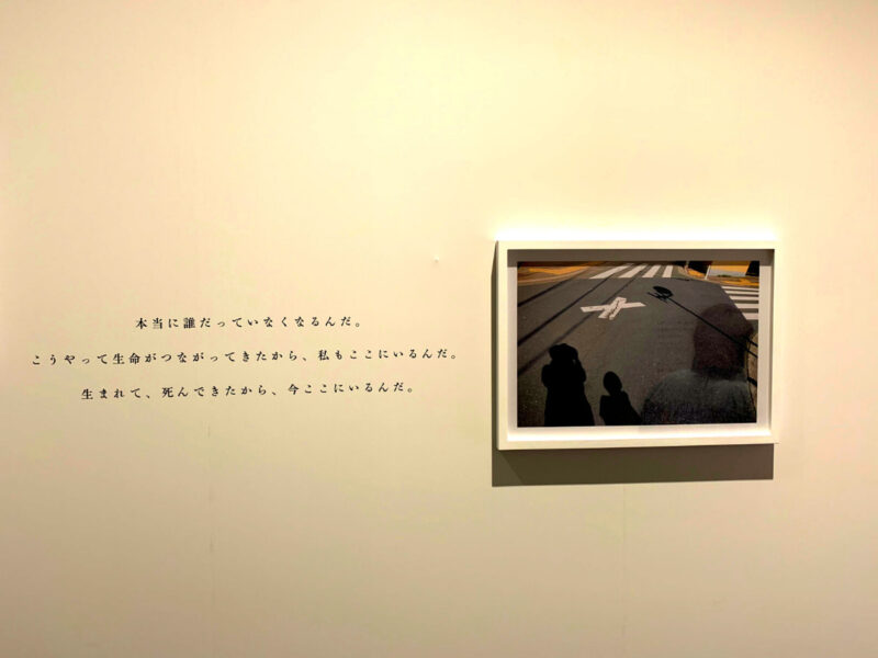 上野で開催中の「蜷川実花展－虚構と現実の間に－」混雑状況、所要時間、グッズなど