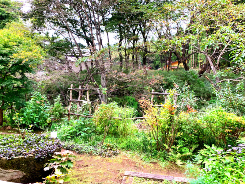 アートビオトープ那須 レジデンスに宿泊した感想 水庭を見るならおすすめ