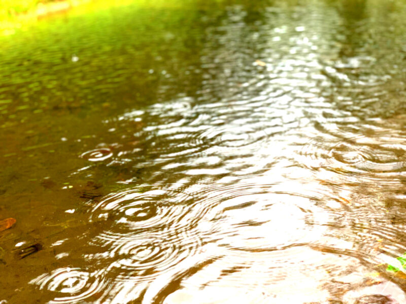 アートビオトープ那須の「水庭」に行ってきた。アクセス、見学・予約方法など