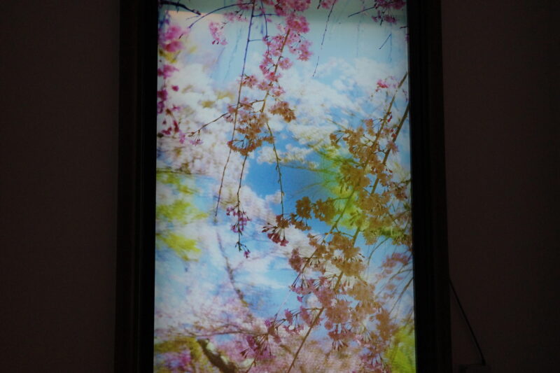 東京都庭園美術館で開催中の蜷川実花「瞬く光の庭」混雑状況、所要時間、グッズなど 