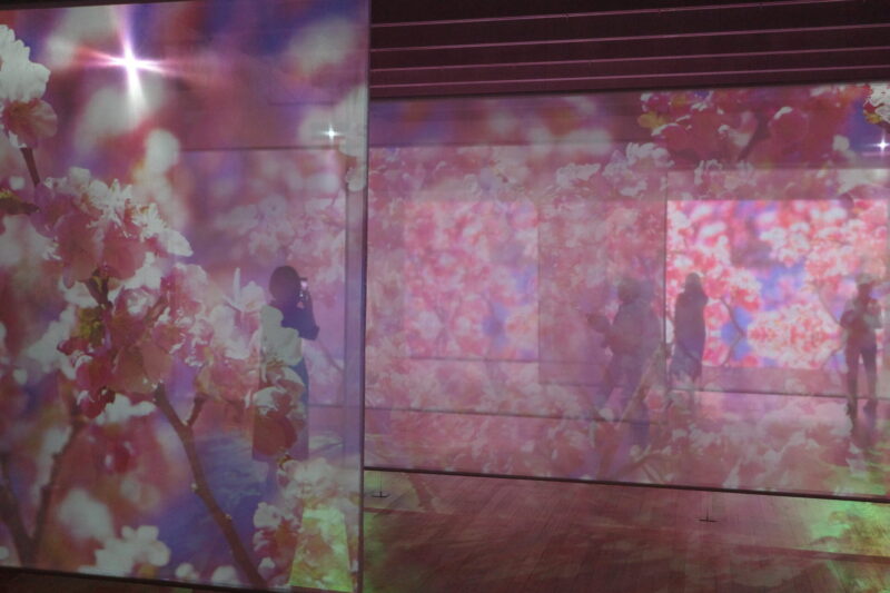 東京都庭園美術館で開催中の蜷川実花「瞬く光の庭」混雑状況、所要時間、グッズなど 