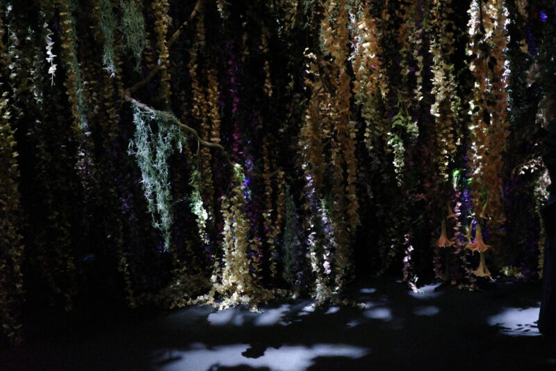 TOKYO NODE「蜷川実花展」に行った感想。チケットやグッズ、混雑状況や所要時間など