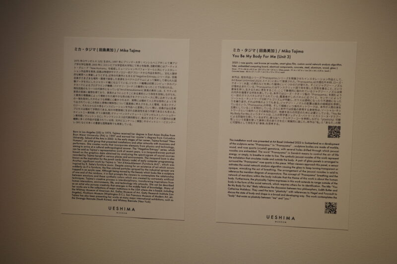 渋谷にオープン「UESHIMA MUSEUM」に行った感想。チケット、所要時間に混雑状況など