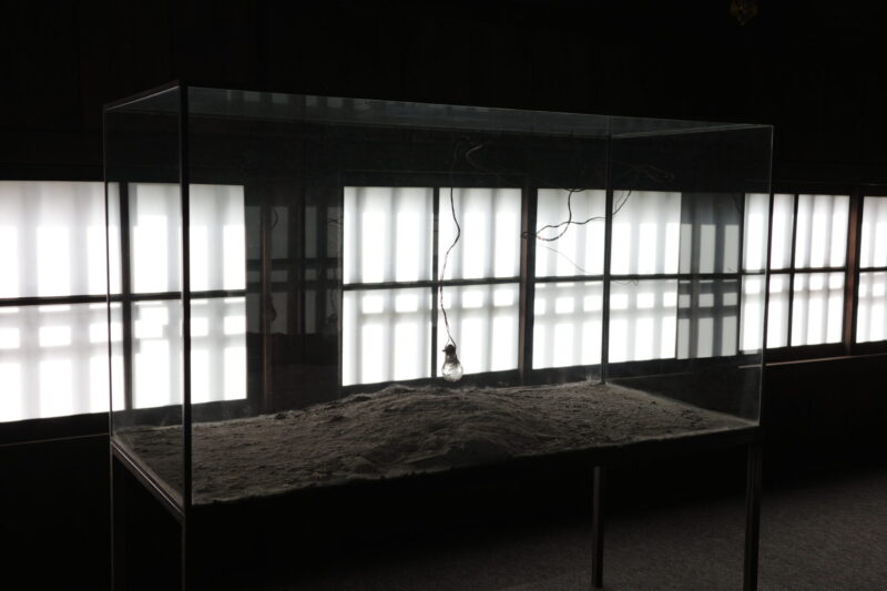 京都・二条城で開催「アンゼルム・キーファー:ソラリス展」に行った感想。チケットやアクセス、混雑状況に所要時間など