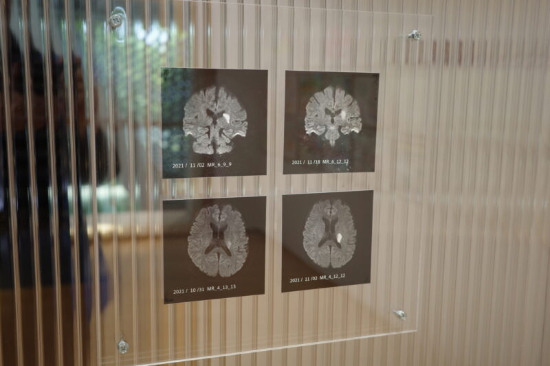 東京都現代美術館で開催中の「岡﨑乾二郎 而今而後 ジコンジゴ」展に行った感想。チケットなどの概要、所要時間に混雑状況、グッズなど