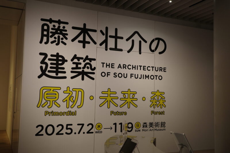 森美術館で開催「藤本壮介の建築:原初・未来・森」に行った感想。チケットやアクセス、混雑状況に所要時間、グッズなど