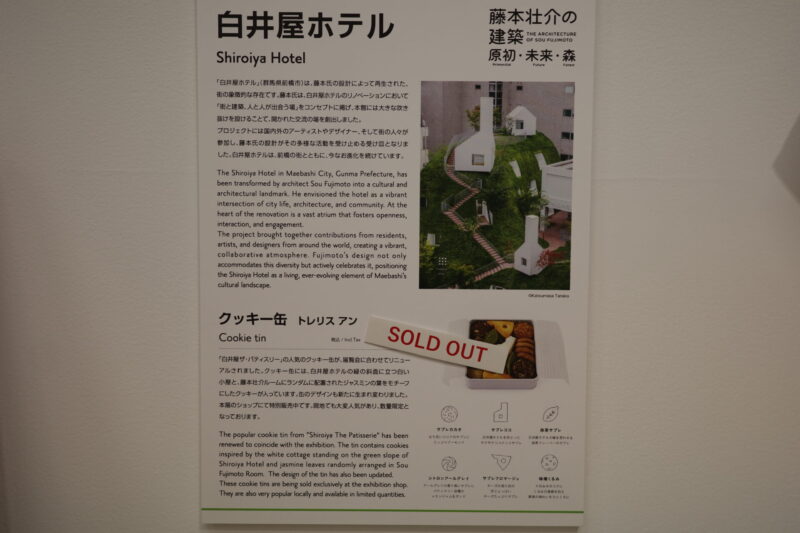 森美術館で開催「藤本壮介の建築:原初・未来・森」に行った感想。チケットやアクセス、混雑状況に所要時間、グッズなど