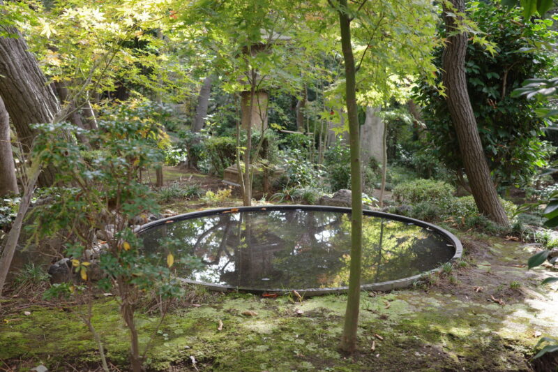 白金台の静寂と現代の感性。生まれ変わった「荏原 畠山美術館」で出会う、杉本博司と茶の湯の世界