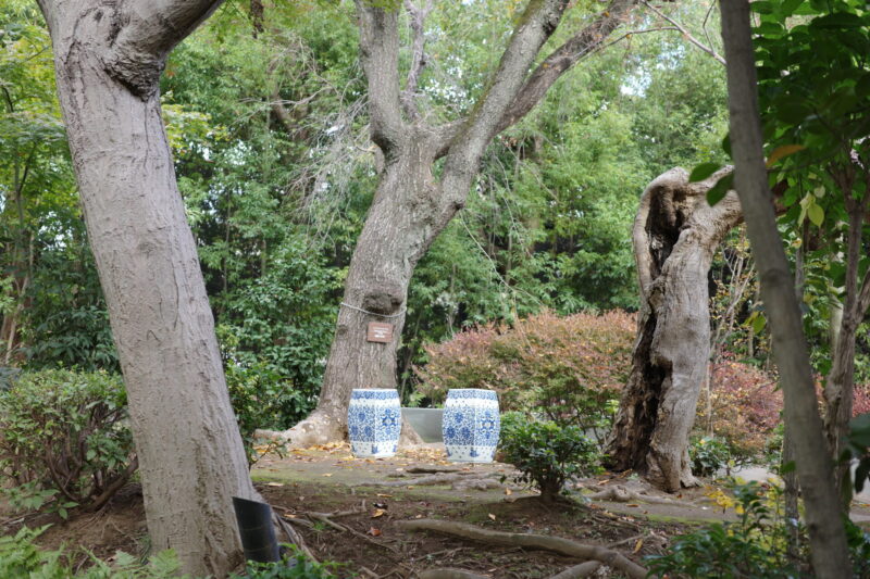 白金台の静寂と現代の感性。生まれ変わった「荏原 畠山美術館」で出会う、杉本博司と茶の湯の世界