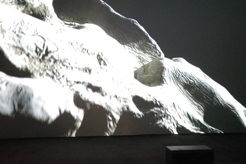 現代アートの現在地。「六本木クロッシング2025展:時間は過ぎ去る わたしたちは永遠」の感想と見どころ