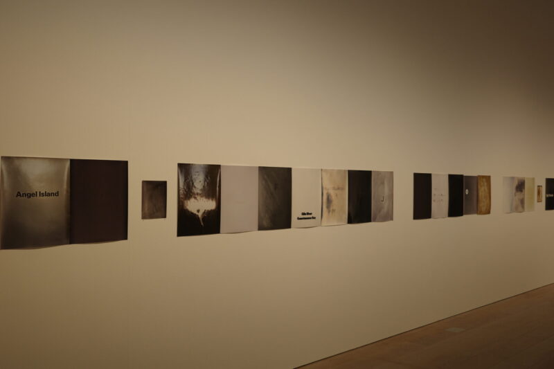 現代アートの現在地。「六本木クロッシング2025展:時間は過ぎ去る わたしたちは永遠」の感想と見どころ