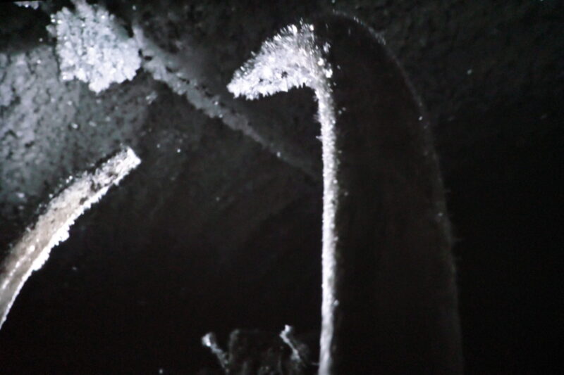 現代アートの現在地。「六本木クロッシング2025展:時間は過ぎ去る わたしたちは永遠」の感想と見どころ