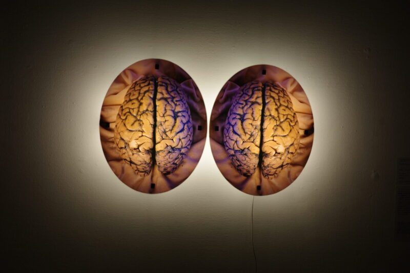 国立新美術館「テート美術館展」に行った感想。混雑状況に所要時間、グッズなど