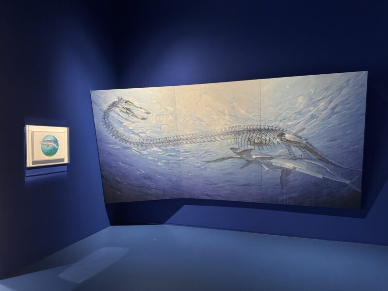 空山基展「SORAYAMA 光・透明・反射 -TOKYO-」レポ|見どころ・混雑・グッズ・所要時間を徹底解説【CREATIVE MUSEUM TOKYO】