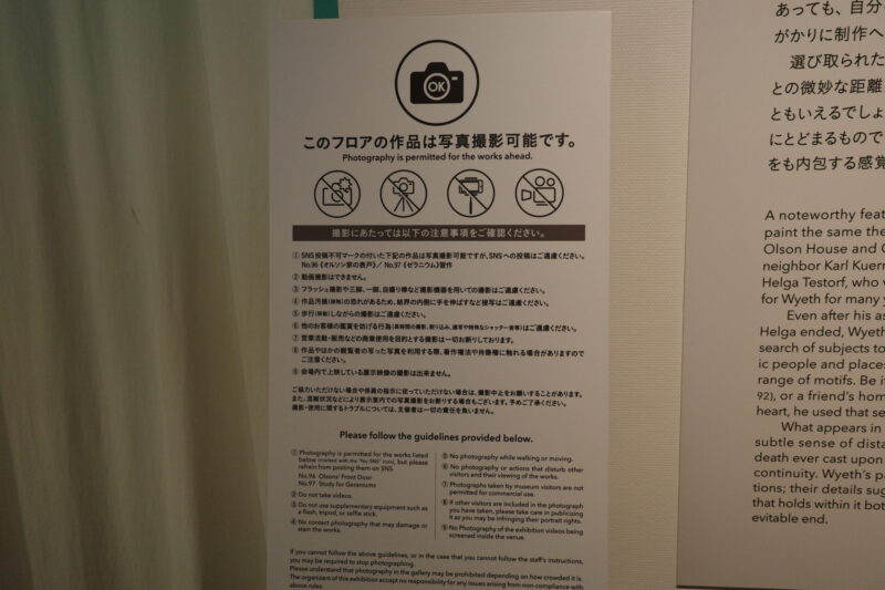 「アンドリュー・ワイエス展」の感想。東京都美術館で17年ぶり、没後初の大回顧展。混雑・所要時間・グッズまで徹底レポート
