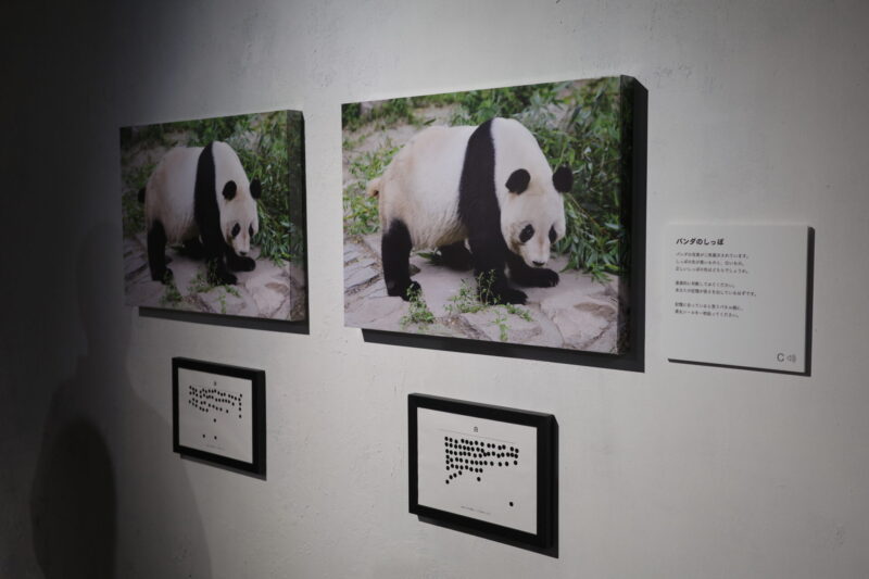 【記憶汚染展】渋谷BEAMで開催|所要時間・混雑・チケット・グッズまとめ(2026年8月2日〜9月6日)