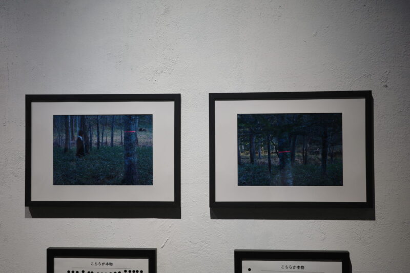 【記憶汚染展】渋谷BEAMで開催|所要時間・混雑・チケット・グッズまとめ(2026年8月2日〜9月6日)