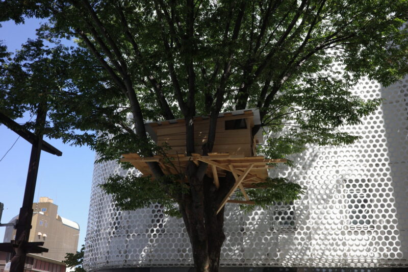 【前橋国際芸術祭2026レポート】まちなかを歩いて全会場を巡る一日｜チケット・所要時間・混雑・ランチまとめ