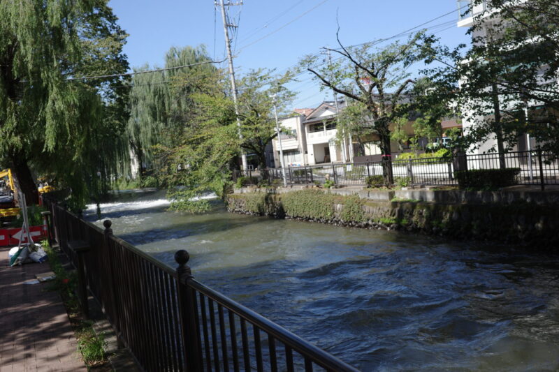 【前橋国際芸術祭2026レポート】まちなかを歩いて全会場を巡る一日｜チケット・所要時間・混雑・ランチまとめ